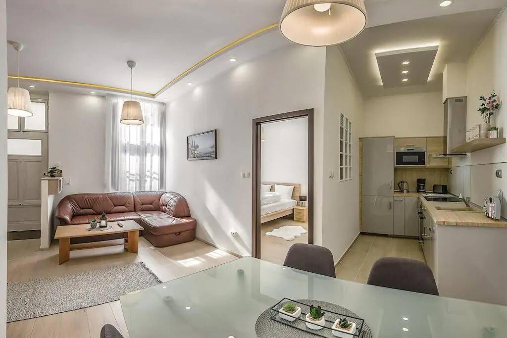 Szechenyi Renovated 2Br At Danube River Budapest Extérieur photo