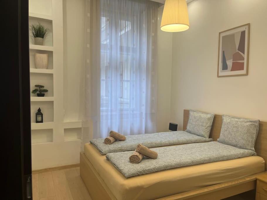 Szechenyi Renovated 2Br At Danube River Budapest Extérieur photo