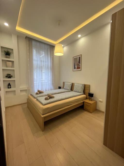Szechenyi Renovated 2Br At Danube River Budapest Extérieur photo